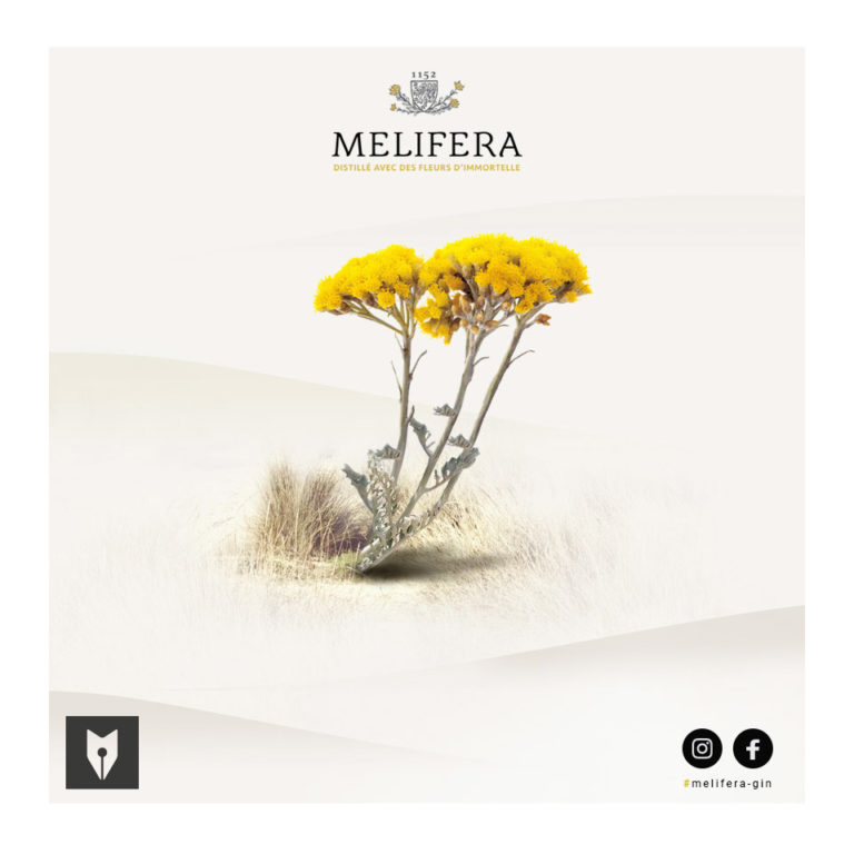 07-magineo-agence-communication-Angouleme-Charente-creation-web-luxe-fleur-immortelle-Melifera